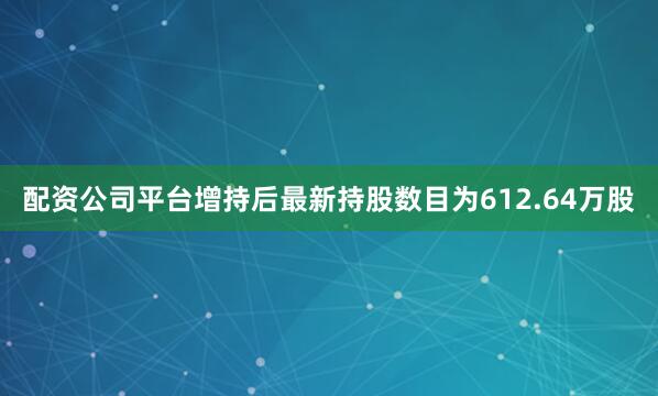 配资公司平台增持后最新持股数目为612.64万股