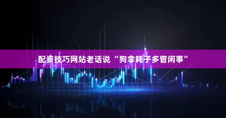 配资技巧网站老话说 “狗拿耗子多管闲事”